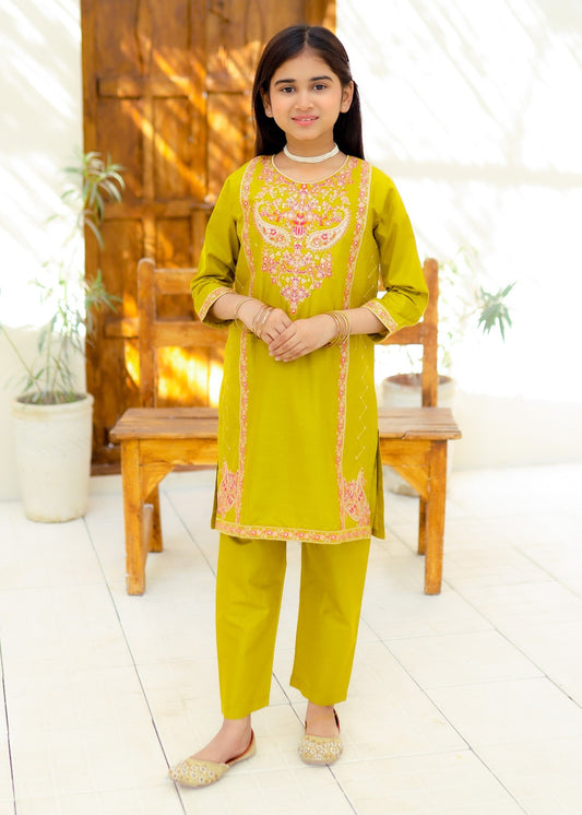 Acid Yellow Embroidered 2Pcs Suit KST 134