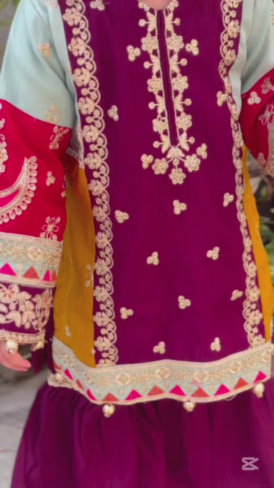 Purple Multi Colour Gharara-KG 016
